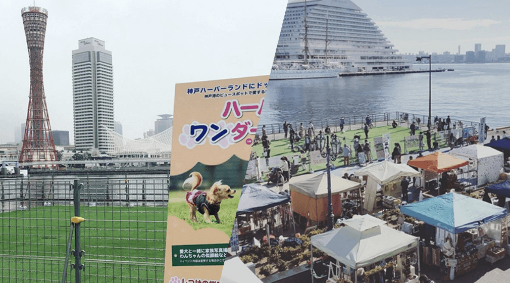 ドッグランイベントの運営